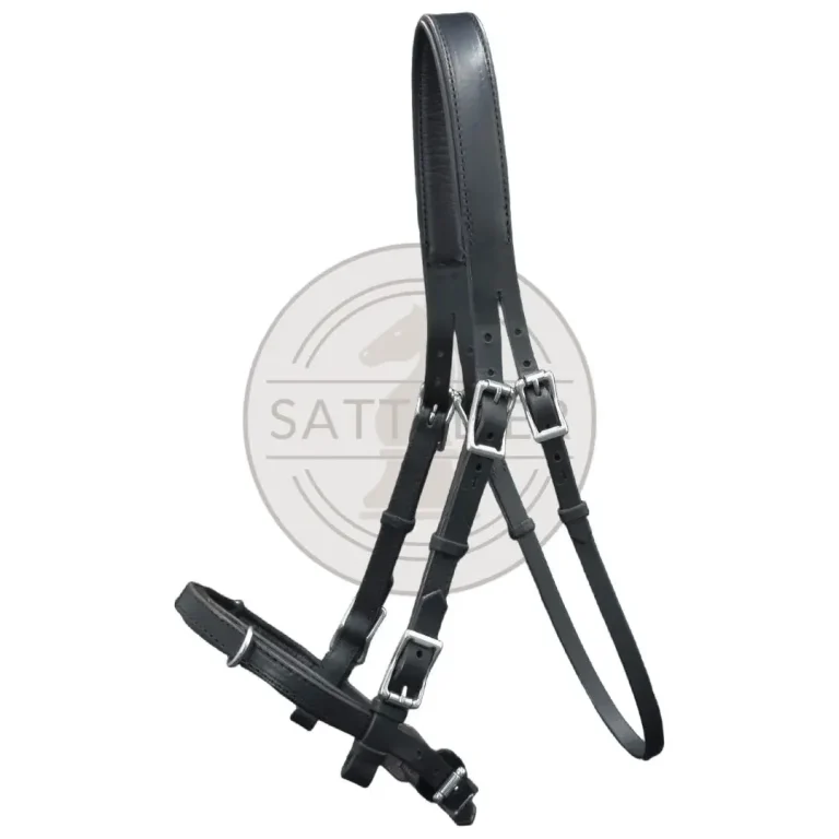 Barock & Klar – Freigeist Zaum mit durchlaufendem Nasenband, klare Optik, Genickstück mit separaten Riemen