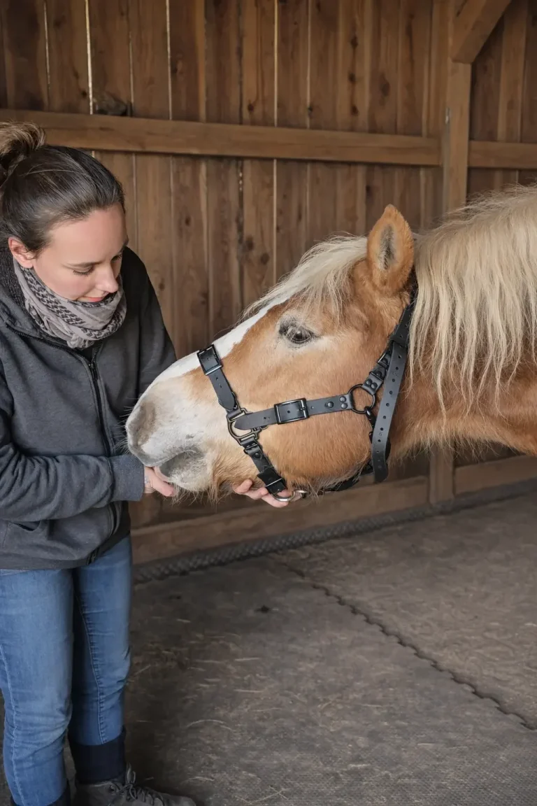 Bewegungsfreiheit des Halfters wird am Pferd getestet
