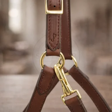 Verbindungsring eines maßgefertigten Lederhalfters mit Genickstück und Backenstück