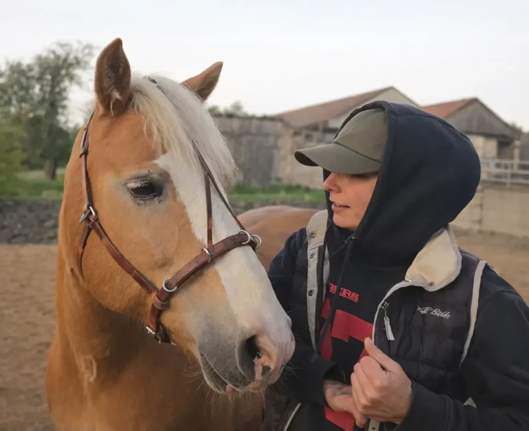 Sattlerin mit Pferd im Alltag mit dem Alleskönner Zaum